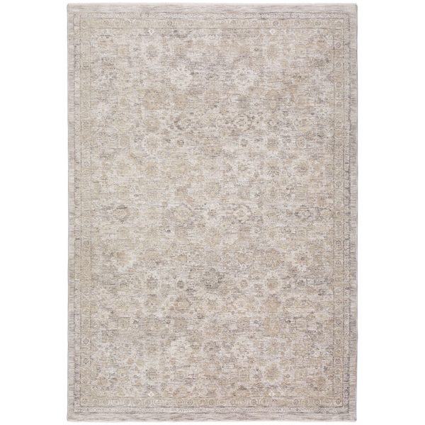 Cyprus Gray Runner